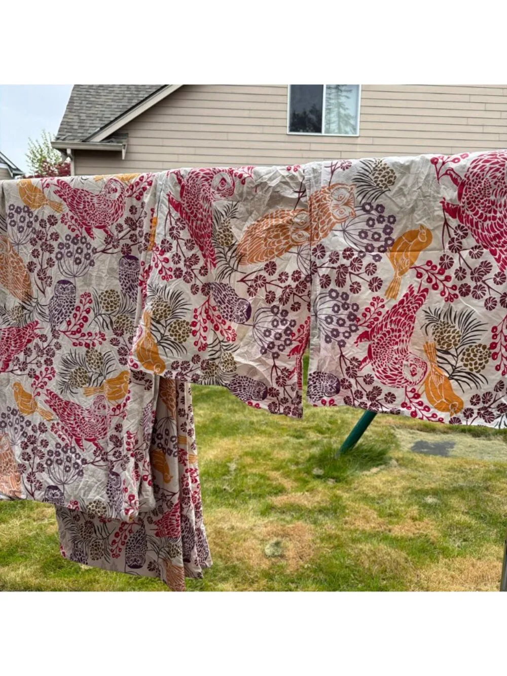 Pottery Barn Duvet Cover Full Queen Owls Birds Floral Button + Two Pillowcases